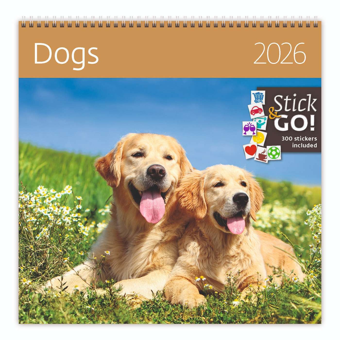 Helma 365 - Kalender 2026 30x30cm Hunde