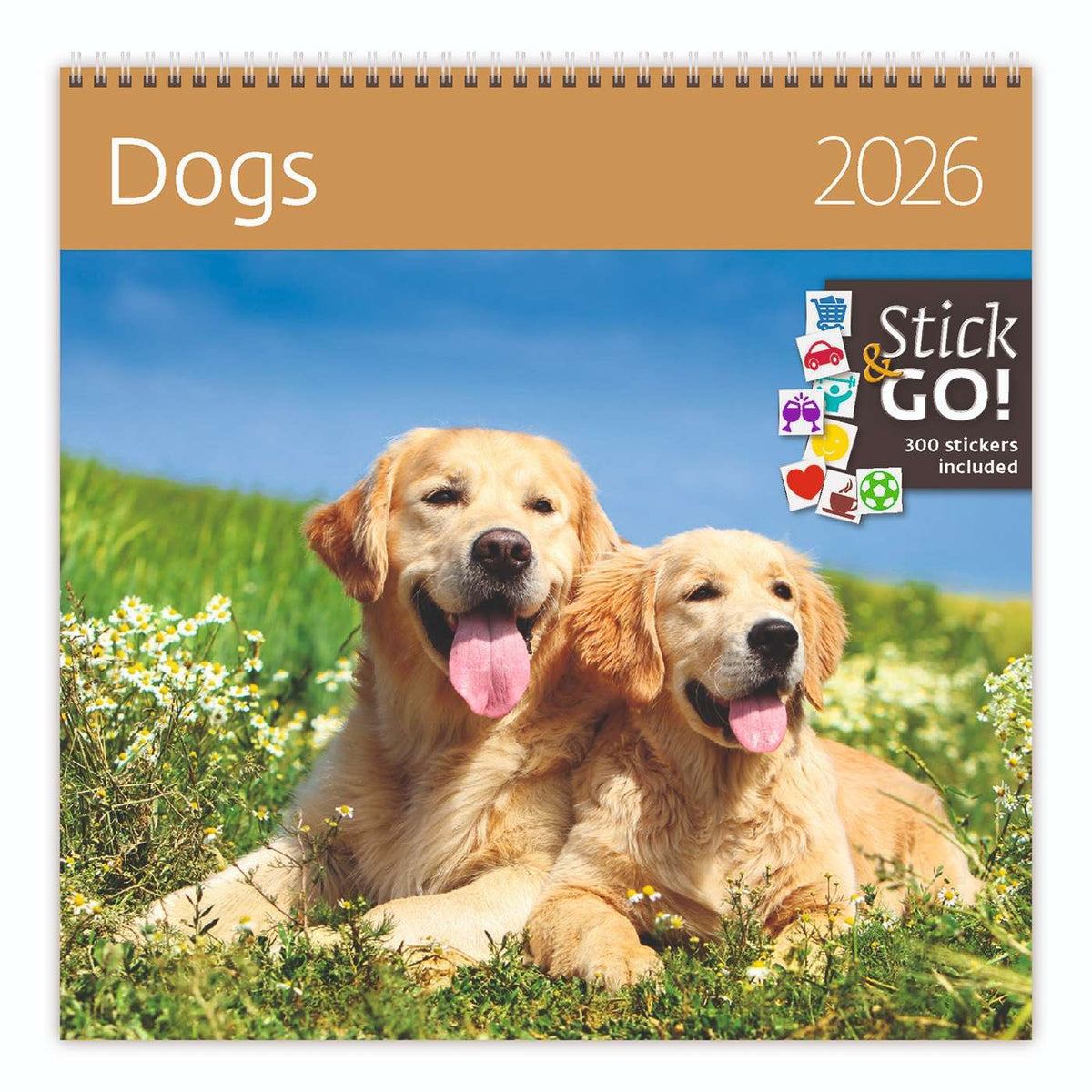 Helma 365 - Kalender 2027 30x30cm honden