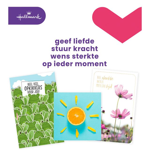 Hallmark – Grußkarten-Nachfüllset „Gute Besserung/Viel Glück“, 12 Karten
