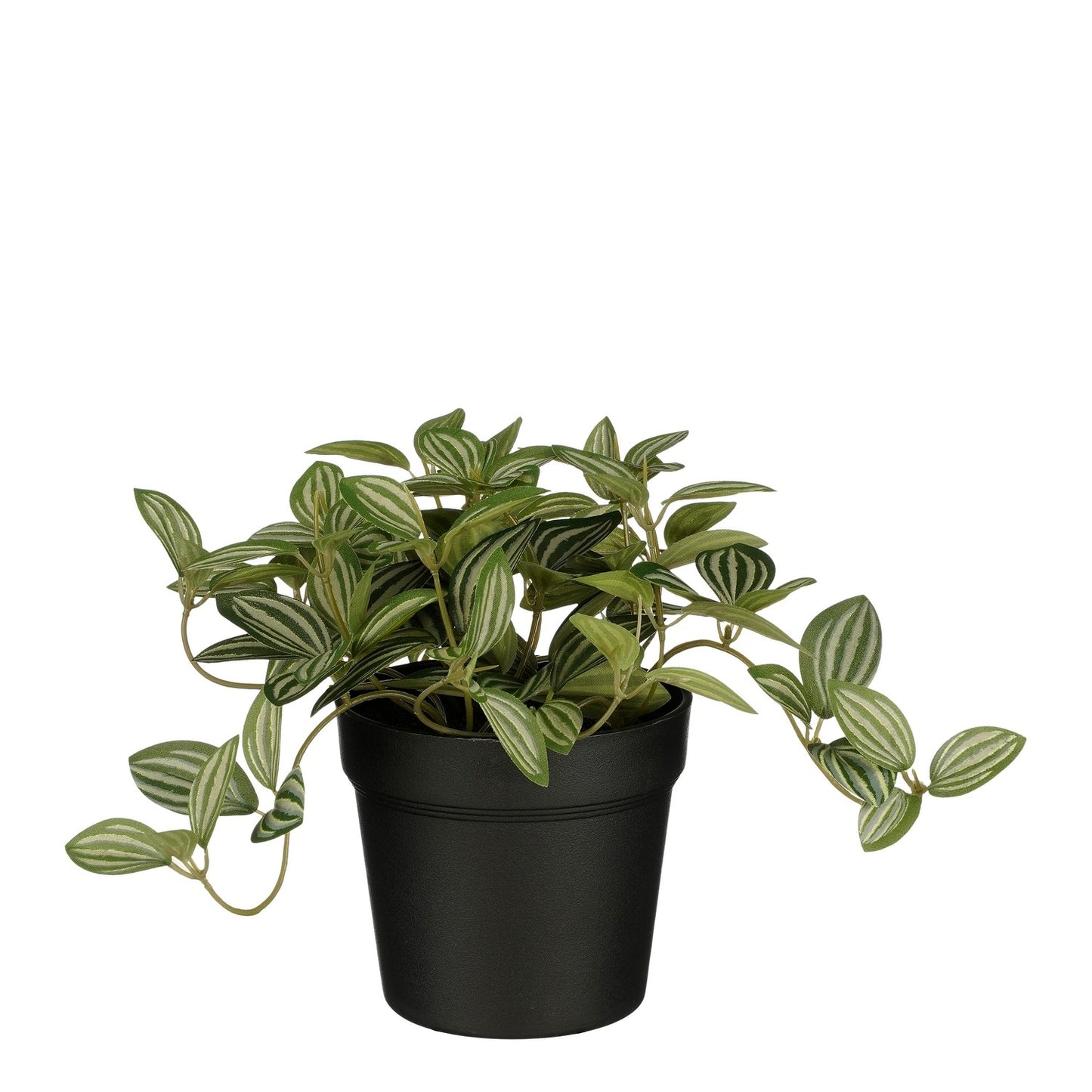 Mica-Dekorationen – Kunstpflanze Mica Tradescantia im Topf 16 x 16 cm