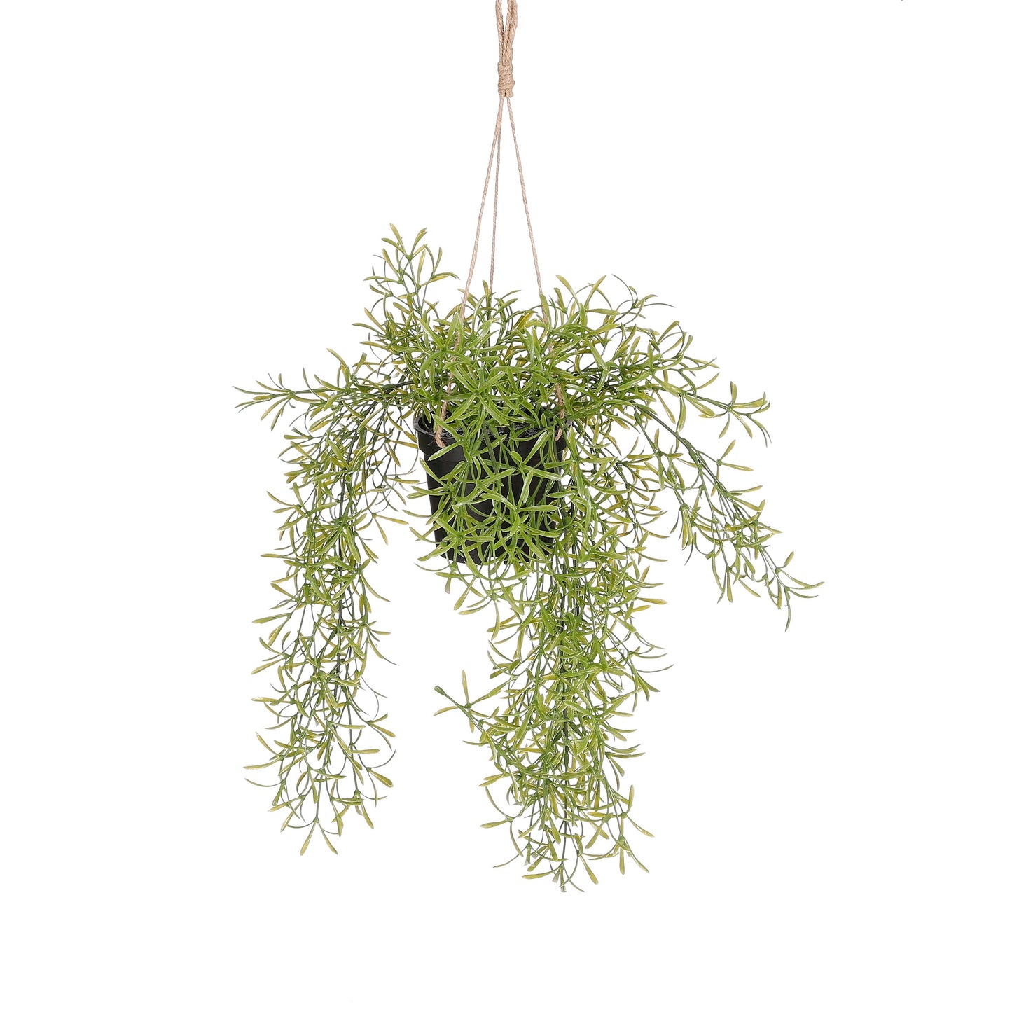 Mica Decorations - Kunstplant mica rhipsalis hangend in pot groen | 6 stuks