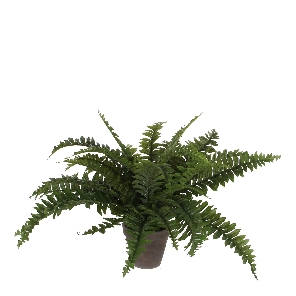 Mica Decorations - Kunstplant mica boston varen groen in pot