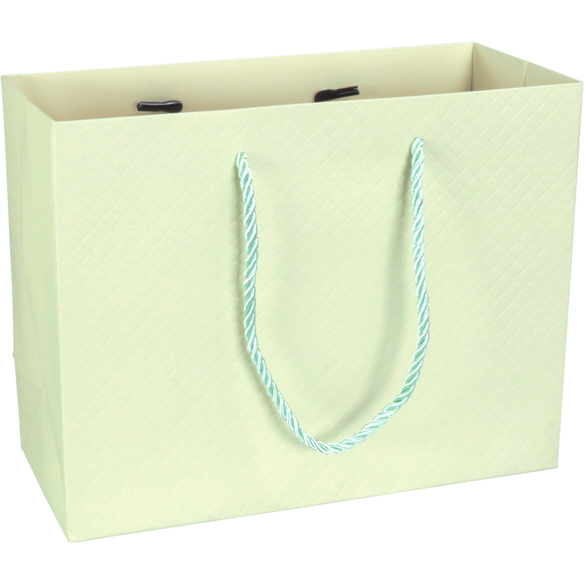 Klika - Tas | Papier | embossed | 23x 10x18cm | draagtas | pastelgroen | 40 stuks