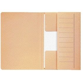 Jalema - Aktenordner Djois Mammoet Folio 3 Klappen 250gr recycelt 360 x 250 mm Chamois