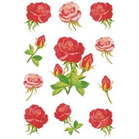 HERMA - Etikett 3581 Rosen