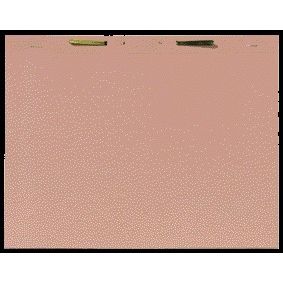 Quantore - Innenordner Djois A4 mit Quick-Fix 300gr Chamois | 100 Stück