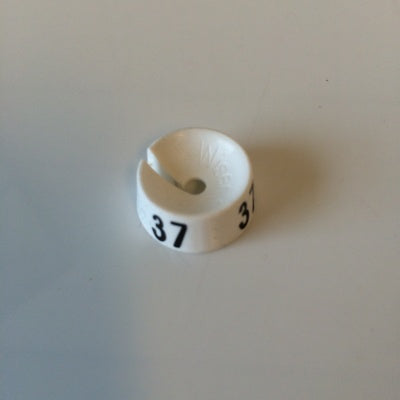 Klika -  MB wit/zwart 37 voor op kledinghanger