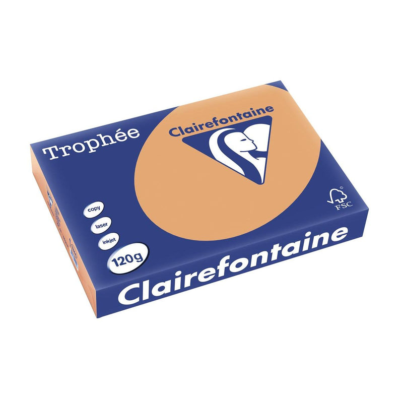 Clairefontaine - Trophée tel, farbiges Papier, A4, 120 g, 250 Blatt, Mokkabraun