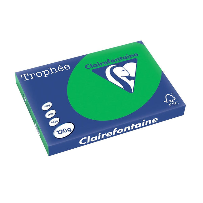 Clairefontaine - Trophée Intens, farbiges Papier, A3, 120 g, 250 Blatt, bijartgrün