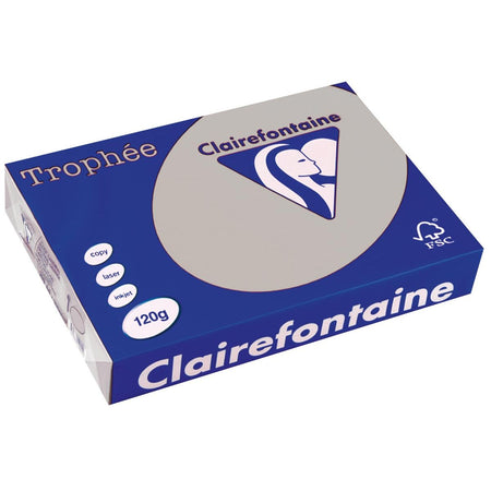 Clairefontaine - Trophée tel, farbiges Papier, A4, 120 g, 250 Blatt, hellgrau