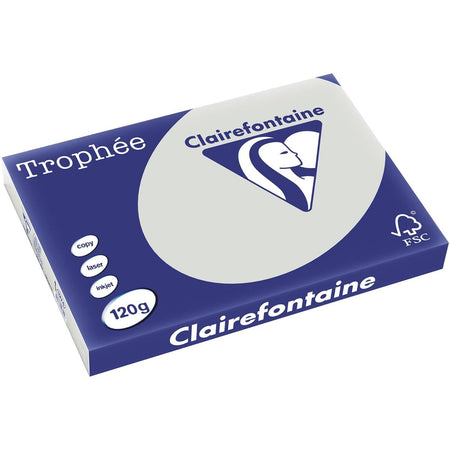 Clairefontaine - Trophée tel, farbiges Papier, A3, 120 g, 250 Blatt, hellgrau