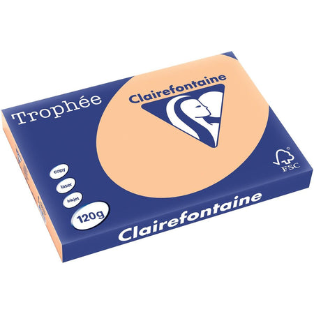 Clairefontaine - Trophée tel, farbiges Papier, A3, 120 g, 250 Blatt, Aprikose