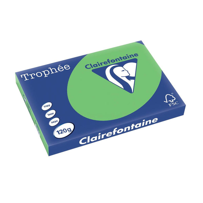 Clairefontaine - Trophée Intens, farbiges Papier, A3, 120 g, 250 Blatt, grasgrün