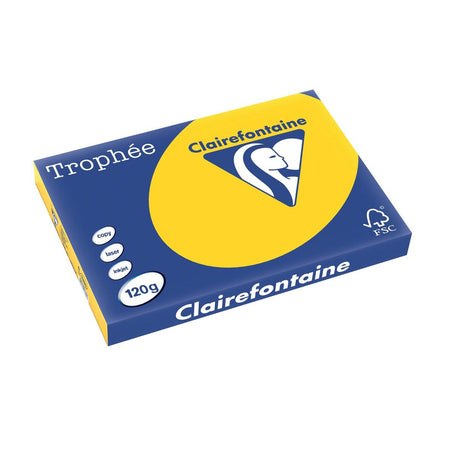 Clairefontaine - Trophée tel, farbiges Papier, A3, 120 g, 250 Blatt, goldgelb