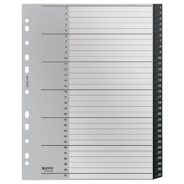 Leitz - Recycle Tab A4 11-Loch 1-31 extra breites PP