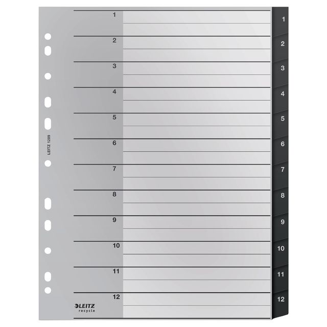 Leitz - Recycle Tab A4 11-Loch 1-12 extra breites PP