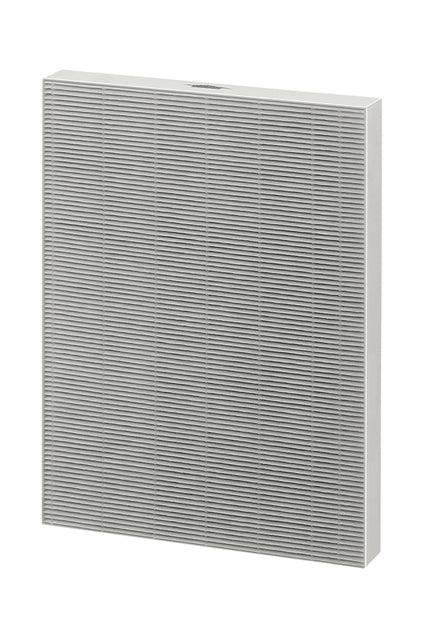 Filter true Hepa für Aeramax DX55