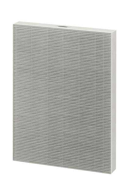 Filter true Hepa für Aeramax DX95