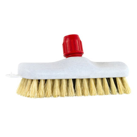Cleaninq - Scrubber Kunststofffaser/Anker 23cm