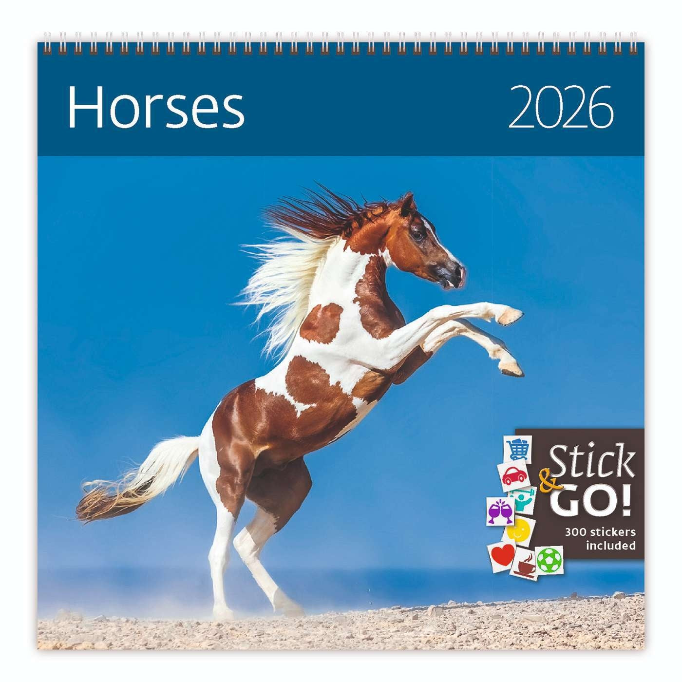 Helma - Kalender 2026 365 30x30cm Pferde
