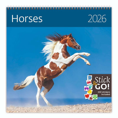 Helma - Kalender 2026 365 30x30cm Pferde