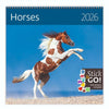 Helma 365 -  Kalender 2027 30x30cm paarden