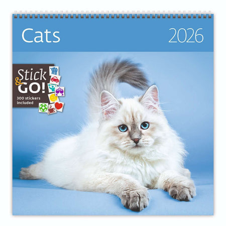 Helma 365 -  Kalender 2027 30x30cm katten