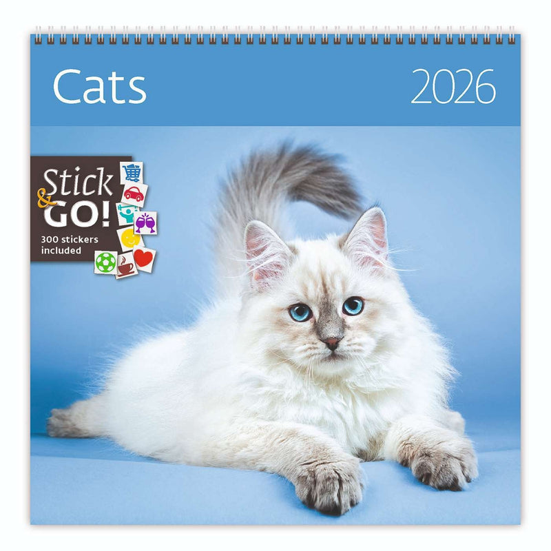 Helma 365 - Kalender 2026 30x30cm Katzen