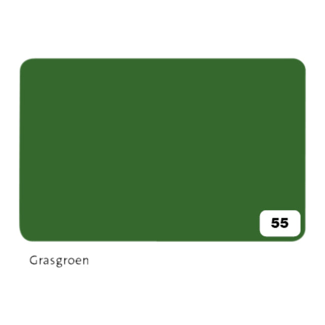 Folia Paper - Fotokarton Folia 2-seitig 50x70cm 300gr Nr.55 grasgrün