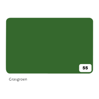 Folia Paper - Fotokarton Folia 2-seitig 50x70cm 300gr Nr55 grasgrün | 10 Stück