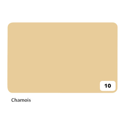 Folia Paper - Fotokarton Folia 2-seitig 50x70cm 300gr Nr. 10 chamois