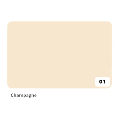 Folia Paper - Fotokarton Folia 2-seitig 50x70cm 300gr Nr01 Champagner