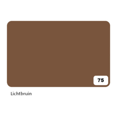 Folia Paper - Fotokarton Folia 2-seitig 50x70cm 300gr Nr.75 hellbraun | 10 Stück