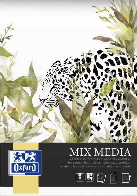 Zeichnen des Blocks Oxford Mix Media A3 25vvvel 225gr