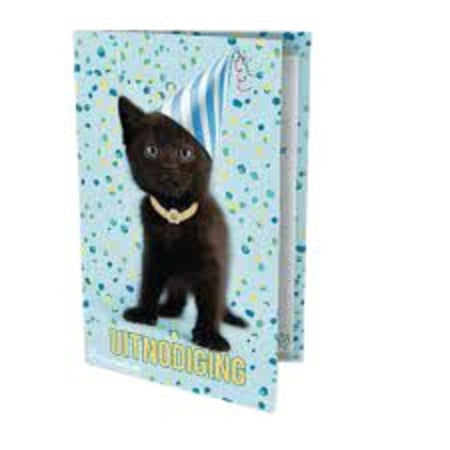 Interstat - Einladung Katze Rachel Hale 14x9cm