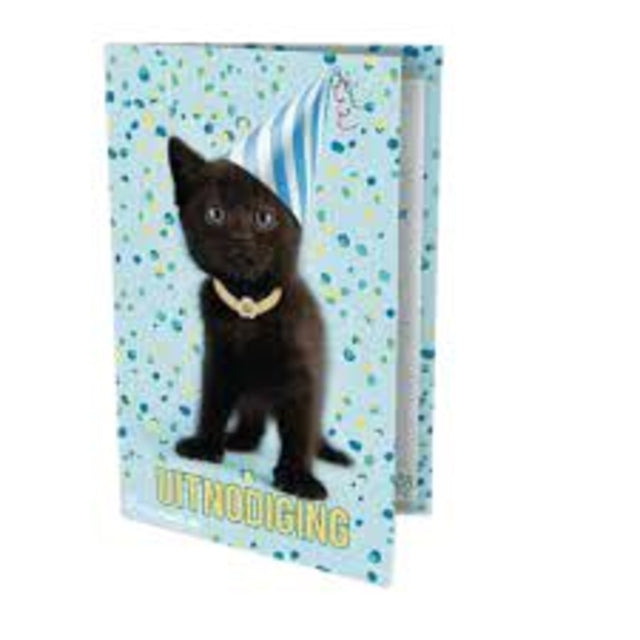 Interstat - Einladung Katze Rachel Hale 14x9cm