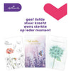 Hallmark – Grußkarten-Nachfüllset Kondolenz, 10 Karten