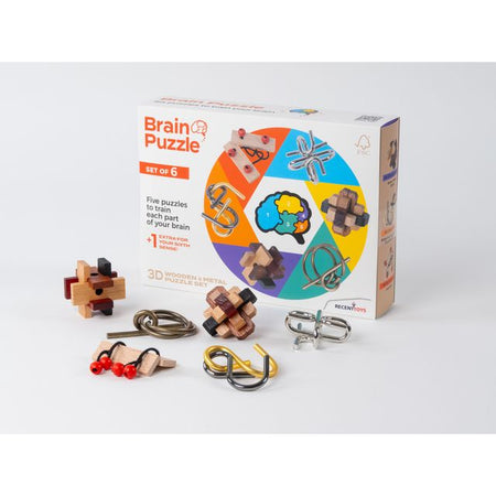 Office -  Brain puzzles set of 6
