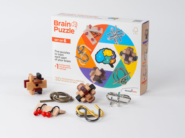 Office -  Brain puzzles set of 6