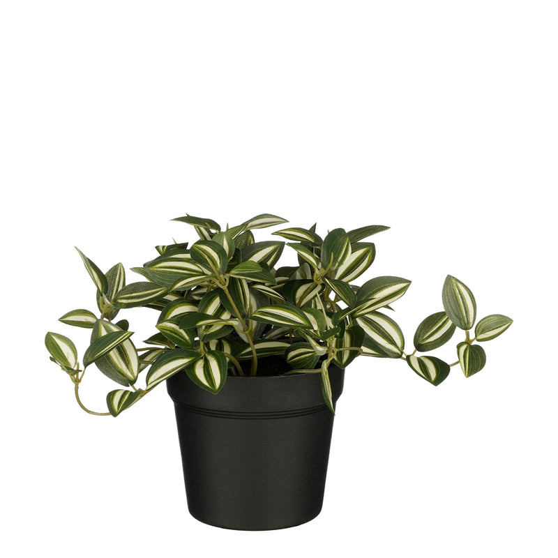 Mica Decorations -  Kunstplant mica tradescantia in pot groen | 6 stuks