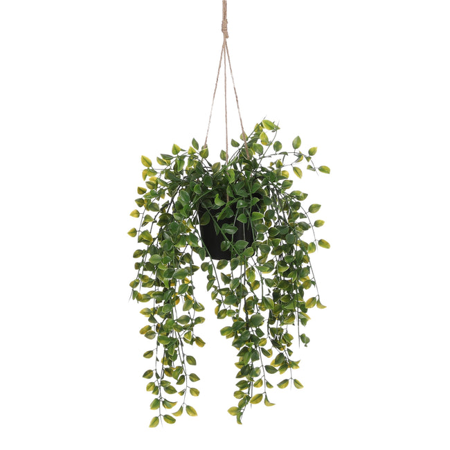 Mica Decorations -  Kunstplant mica ficus hangend in pot groen