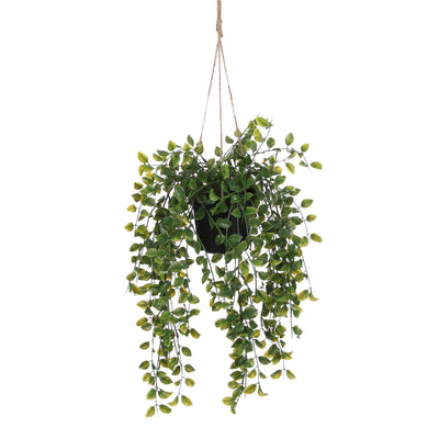 Mica Decorations -  Kunstplant mica ficus hangend in pot groen | 6 stuks