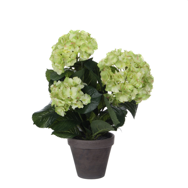 Mica Decorations -  Kunstplant mica hortensia in pot groen | 4 stuks