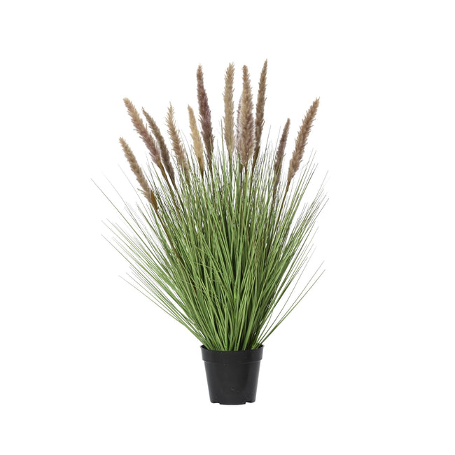 Everlands -  Kunstgras  met pluimen 80cm bruin