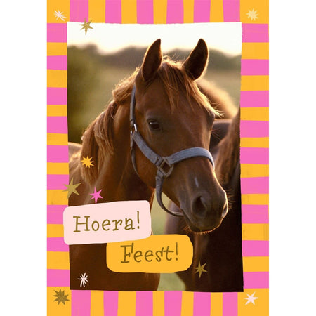 Hallmark -  Wenskaart  uitnodiging paarden 6 stuks