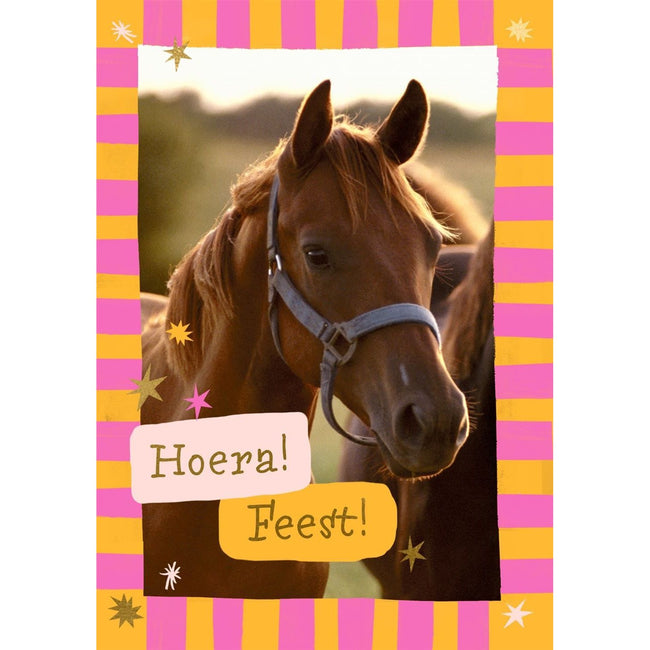 Hallmark -  Wenskaart  uitnodiging paarden 6 stuks