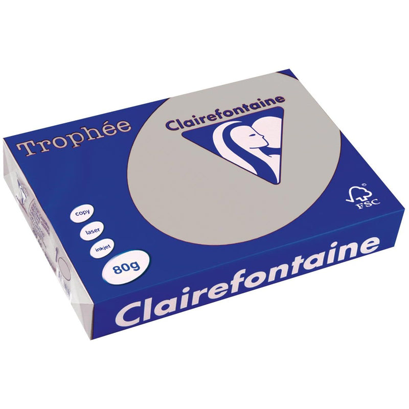 Clairefontaine - Trophée-Farbpapier, A4, 80 g, 500 Blatt, hellgrau