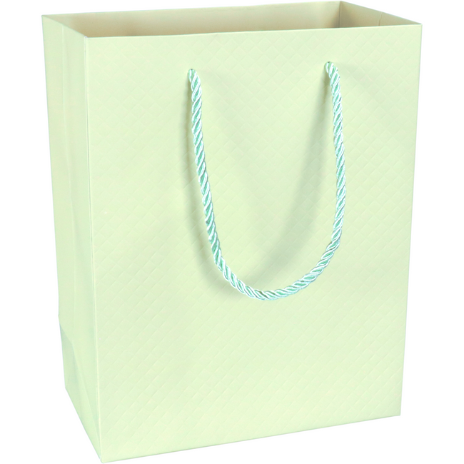 Klika -  Tas | Papier | embossed | 18x 10x23cm | draagtas | pastelgroen | 40 stuks