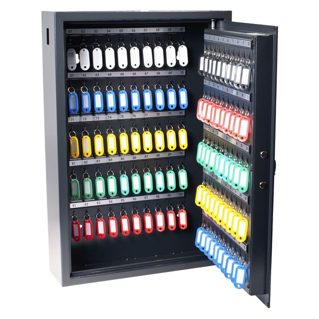 Pavo - Schlüsselschrank hoch y 100 Haken 600x410x120mm