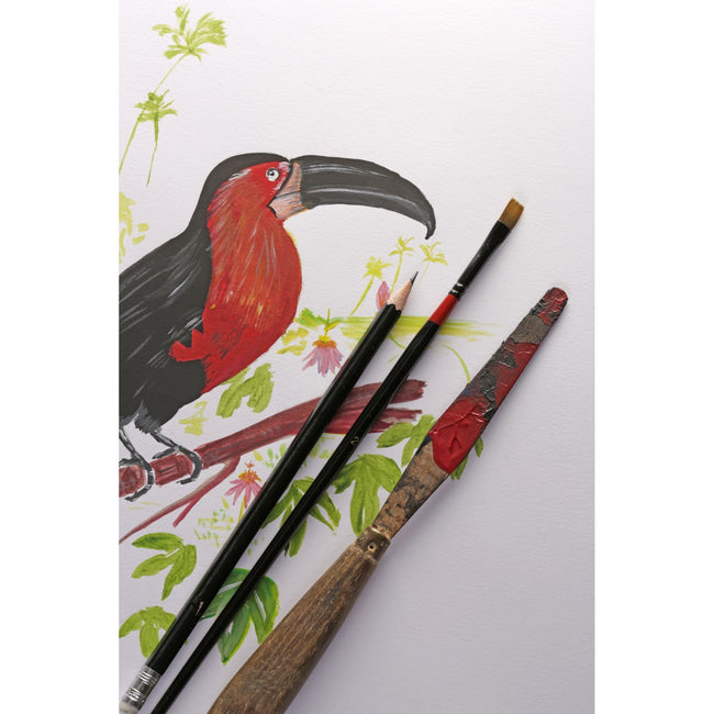 Clairefontaine -  Tekenblok  paint on a4 40 vel 250g | 4 stuks